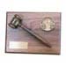 Deluxe Gavel Award