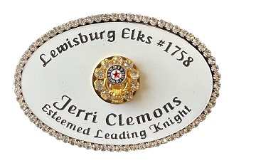Ladies Rhinestone Framed Badge