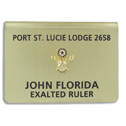 251 Icebreaker Badge 