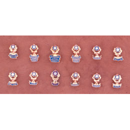 Officer Lapel Pin Set