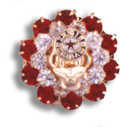 Red Rhinstone Brooch