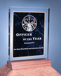 Officer of the Year Award