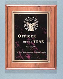 Officer of the Year Award
