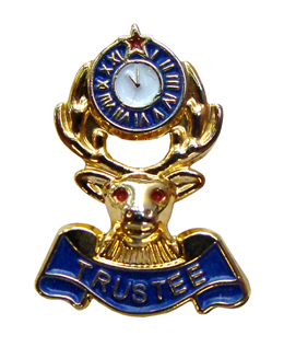 Trustee Lapel Pin