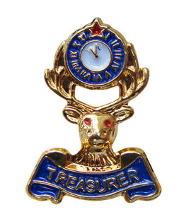 Treasurer Lapel Pin
