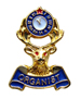 Organist Lapel Pin