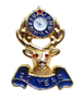 20 Years Lapel Pin
