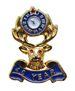 40 Years Lapel pin