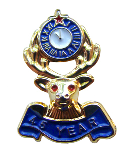 45 Year Lapel  Pin