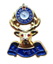 45 Year Lapel  Pin