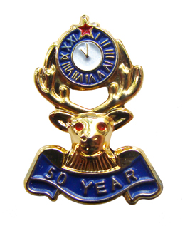 50 Years  Lapel Pin