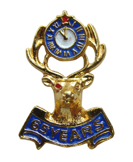 65 Years Lapel Pin
