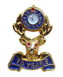 70 Years Lapel Pin