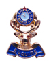 Esquire Lapel Pin