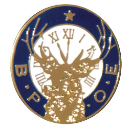 Cloisonne Member Lapel Pin